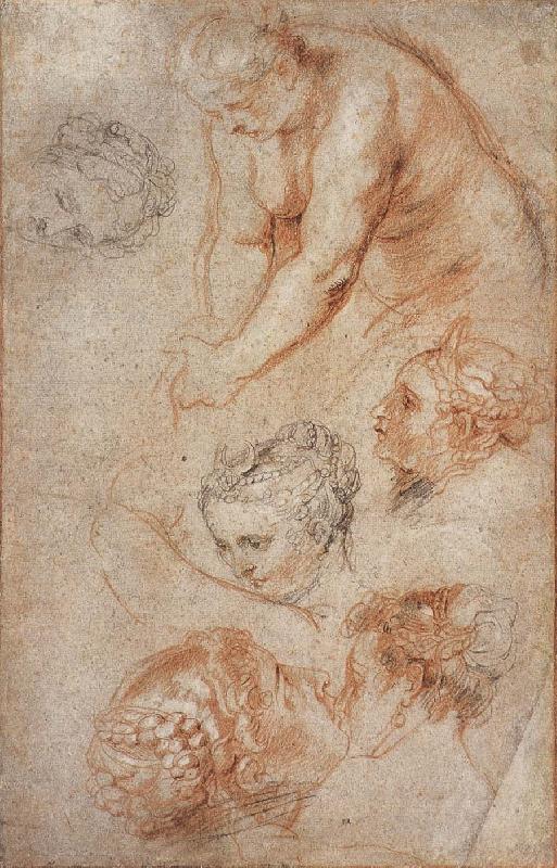 Peter Paul Rubens Woman sketch